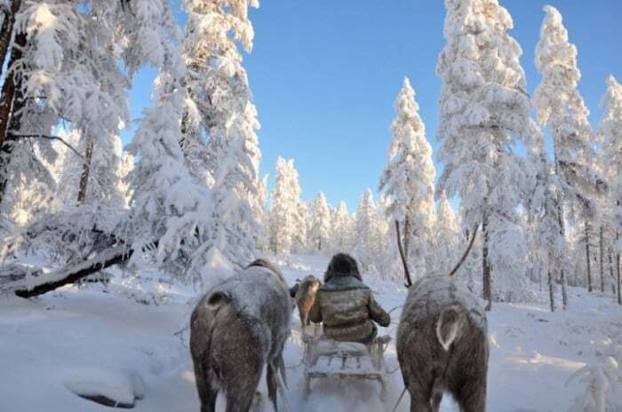 20 сказочных фото, наполненных зимним волшебством