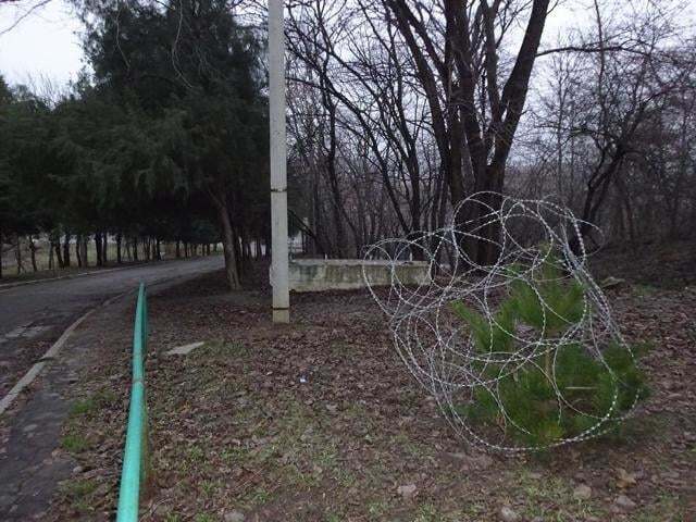 Гирлянды по-русски: в Ростове оригинально "украсили" ели - фотофакт