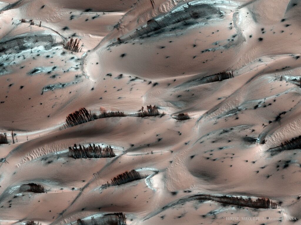 NASA виявило на Марсі "дерева" на дюнах: фотофакт