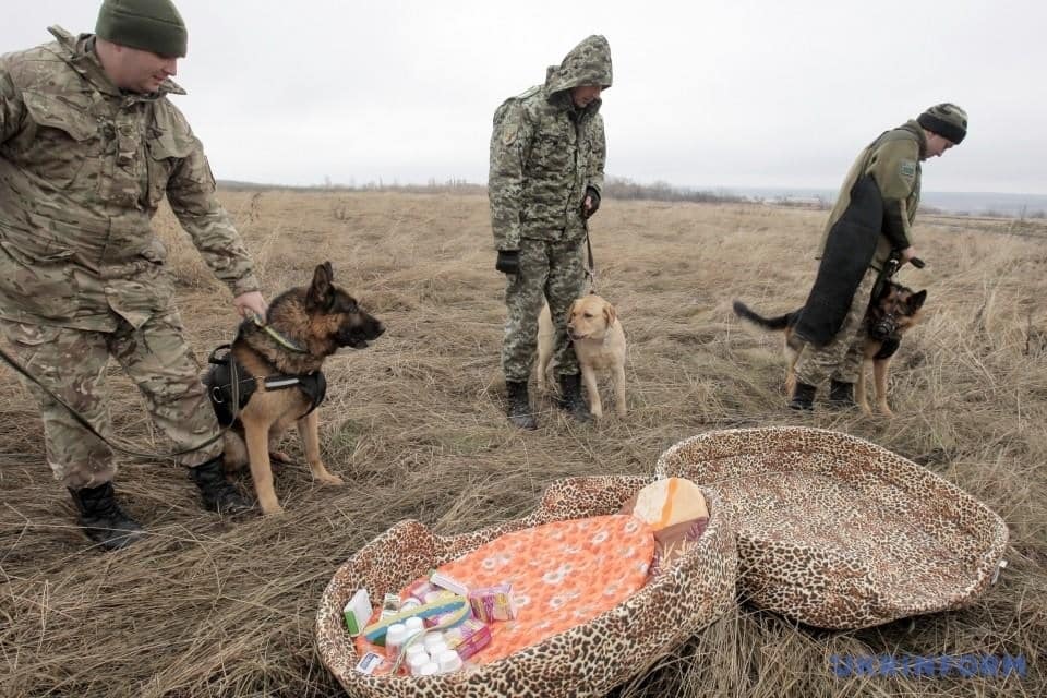 На Луганщине Дед Мороз первым пришел к "хвостатым пограничникам": опубликованы фото