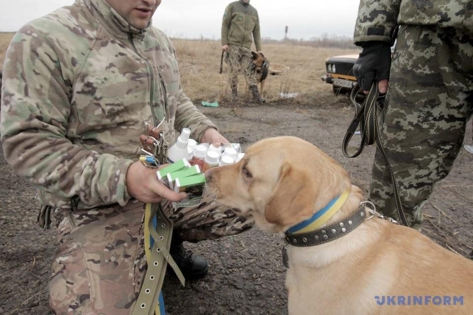 На Луганщине Дед Мороз первым пришел к "хвостатым пограничникам": опубликованы фото