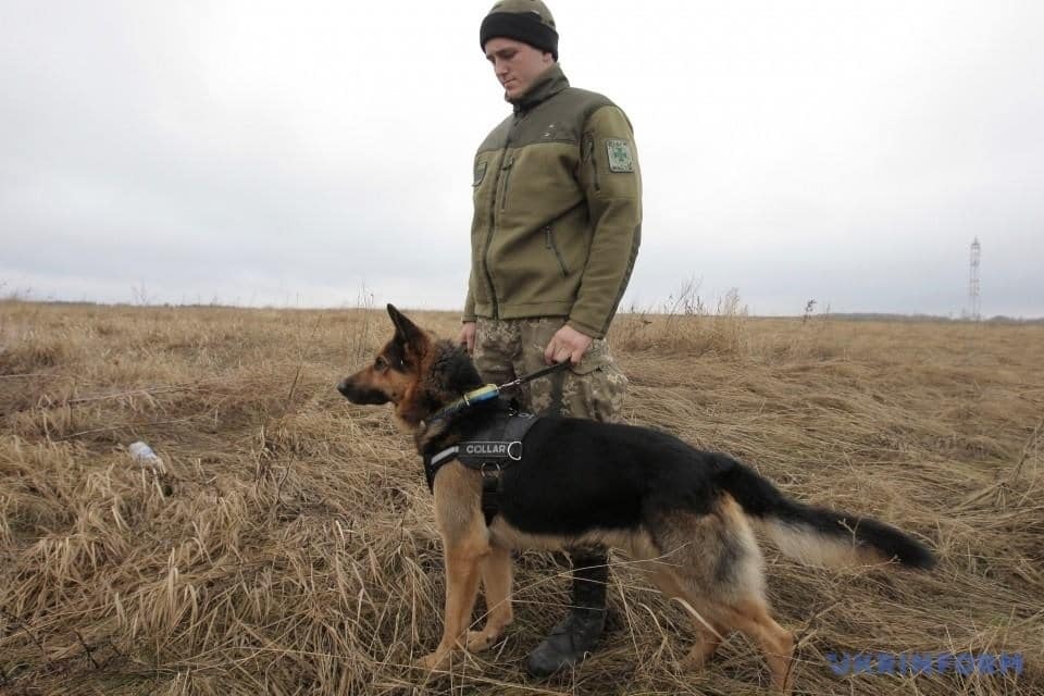 На Луганщине Дед Мороз первым пришел к "хвостатым пограничникам": опубликованы фото