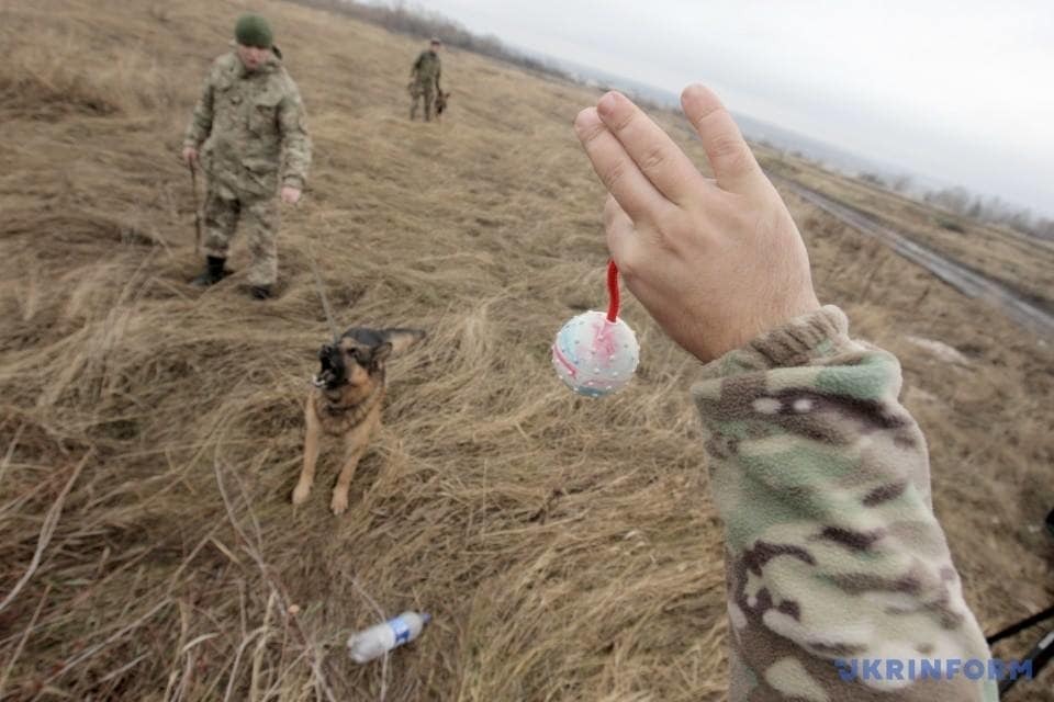 На Луганщине Дед Мороз первым пришел к "хвостатым пограничникам": опубликованы фото