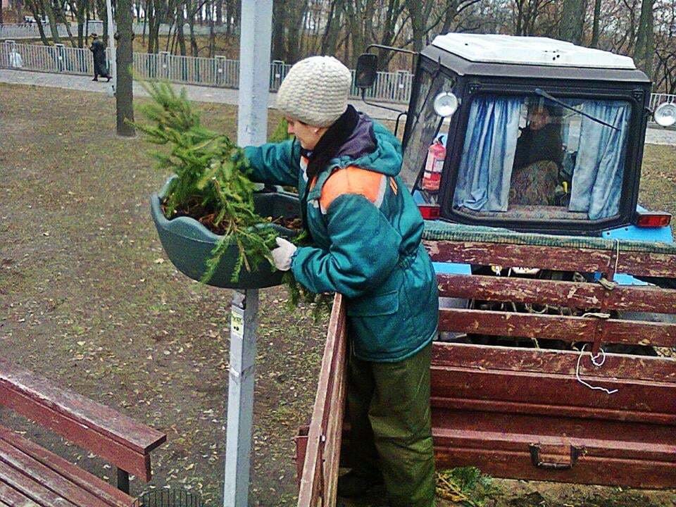 Улицы Киева украсили хвойными лапками: фотофакт