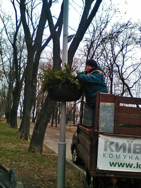 Вулиці Києва прикрасили хвойними лапками: фотофакт