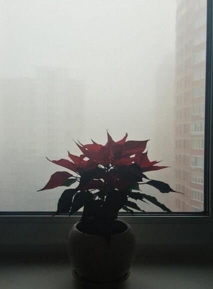 Київ зник у густому тумані: фото із соцмереж