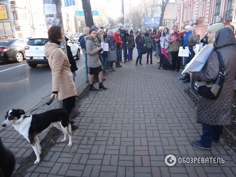 Зоозащитники пикетировали прокуратуру Шевченковского района Киева. Фоторепортаж