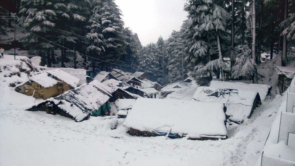Північ Індії опинився під товстим шаром снігу: незвичайні фото