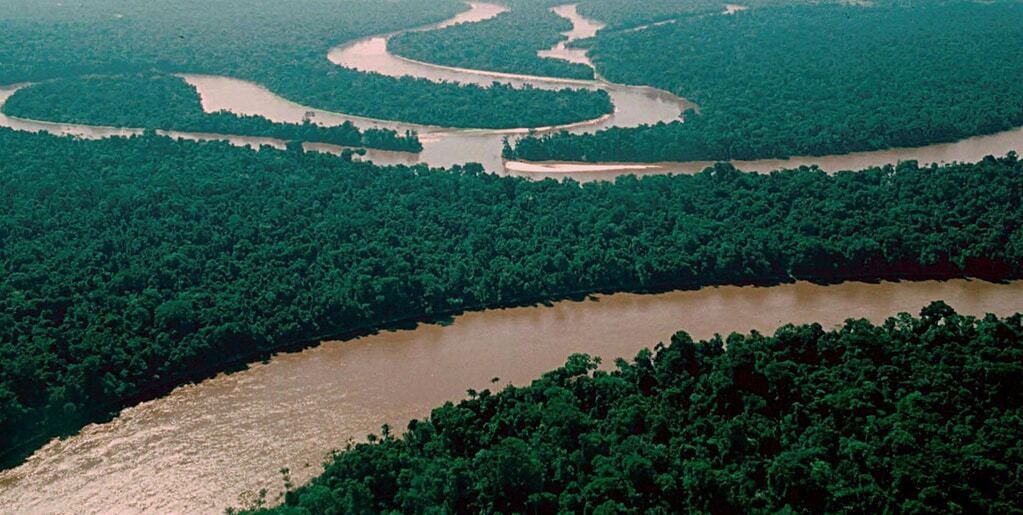 Чудо планеты: яркое фотопутешествие по реке Амазонке
