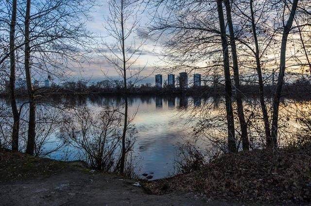 Кобзон і Табачник присвоїли пляжі в Києві: опубліковані фото