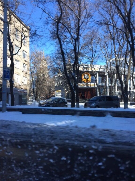 Цирк и автоматчики: Кобзон посетил предновогодний Донецк