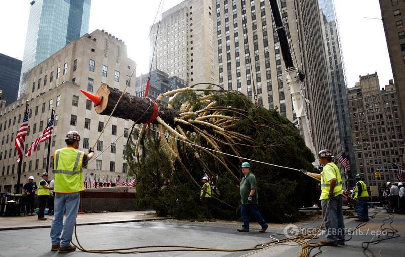 У Нью-Йорку запалили головну різдвяну ялинку: опубліковані фото і відео