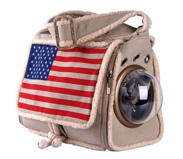 Которюкзак: уникальная сумка, позволяющая животному почувствовать себя в космосе