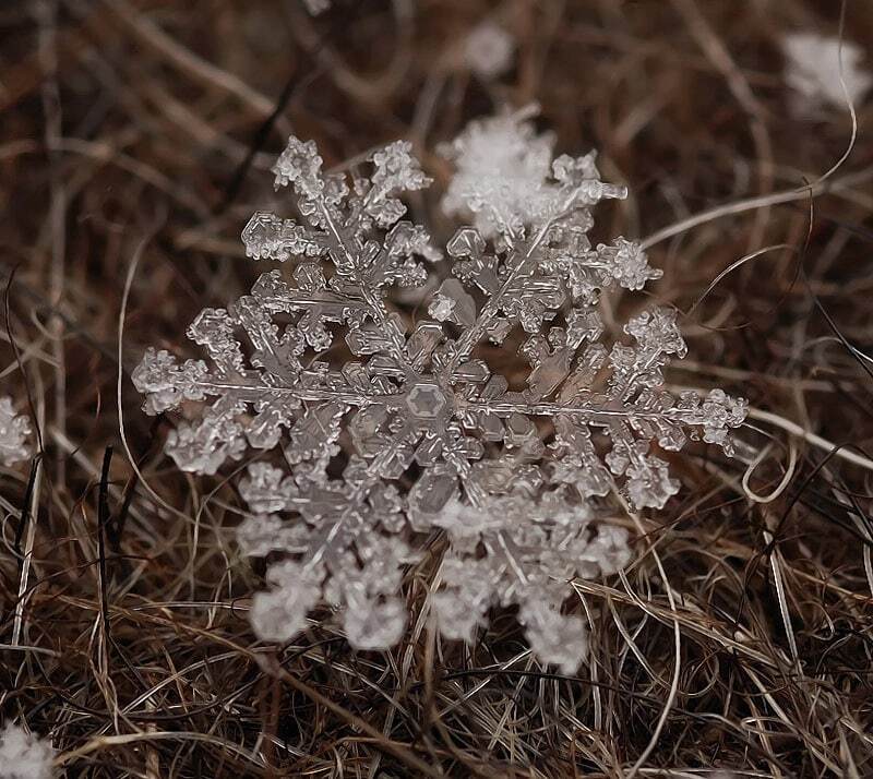 Неповторимая красота: сказочные макро-фотографии снежинок