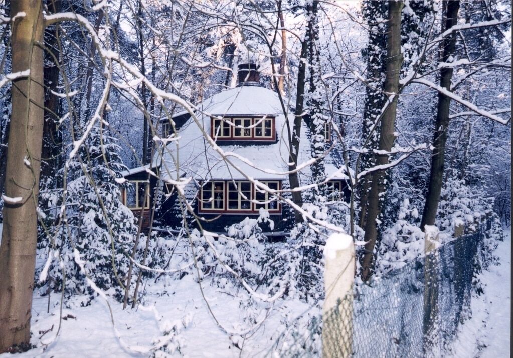 Зимовий настрій: 13 казкових засніжених будиночків