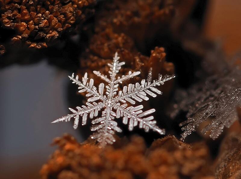Неповторна краса: казкові макрофотографії сніжинок