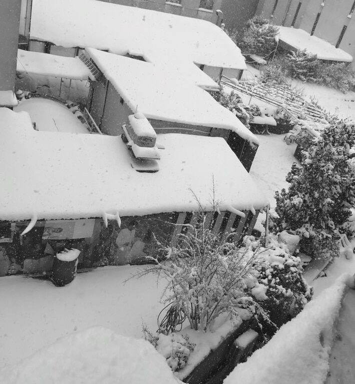 Снежная сказка: в канун Нового года Турцию замело. Фоторепортаж