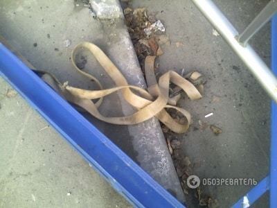 У Києві на легковик впала конструкція крана: опубліковані фото