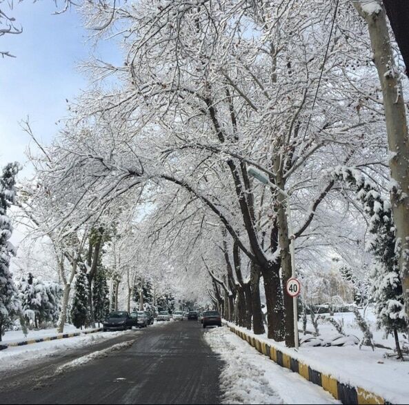 В жарком Иране выпал снег: фоторепортаж с заснеженных улиц