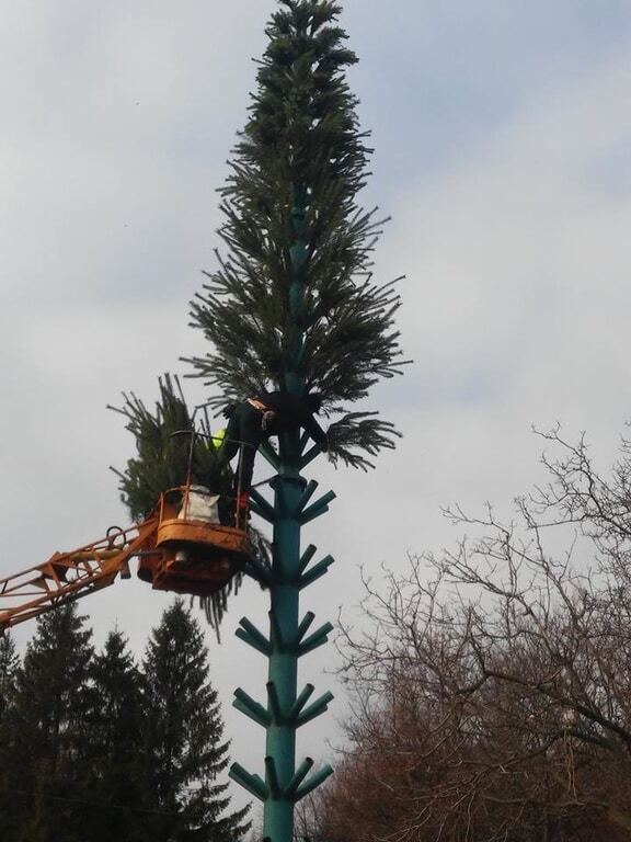 В Киеве установили елку на Певческом поле: фотофакт