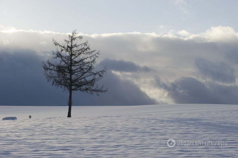 Де живе японський Дід Мороз: подорож на засніжений острів Хоккайдо
