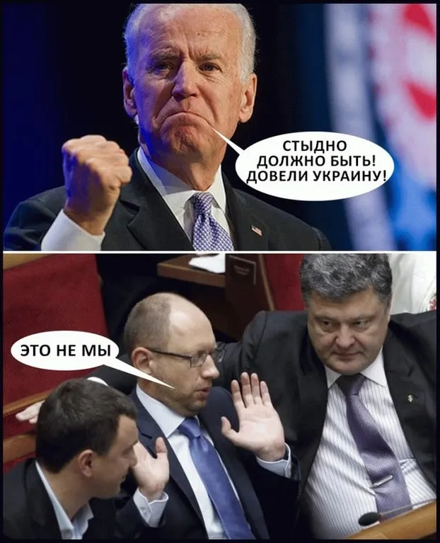 219543.webp