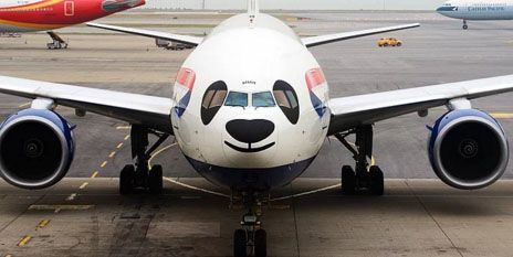Панда в небе: 16 ярких фото арт-самолетов