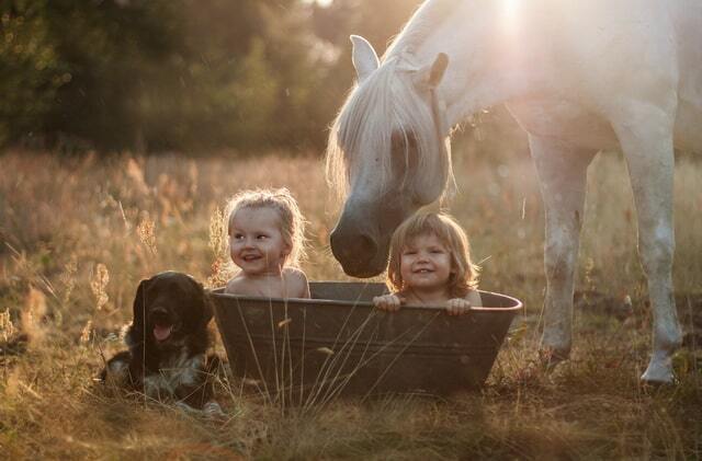 Милые и добрые: опубликованы лучшие фото детей с животными