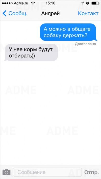 20 СМС, которые могли отправить только студенты