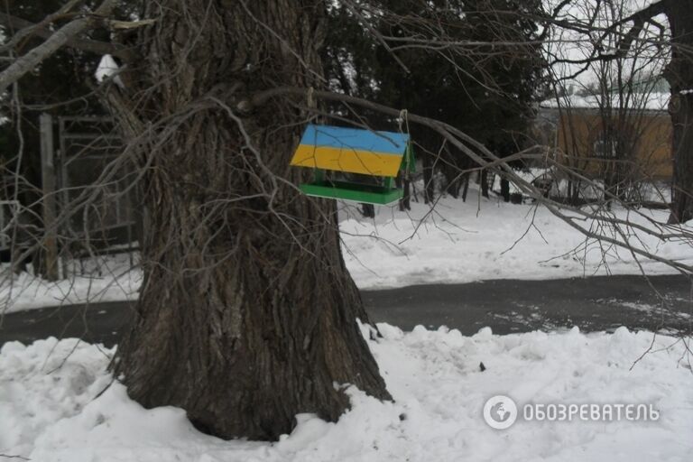 У київському ботсаду з'явилися годівниці для птахів-патріотів: фотофакт