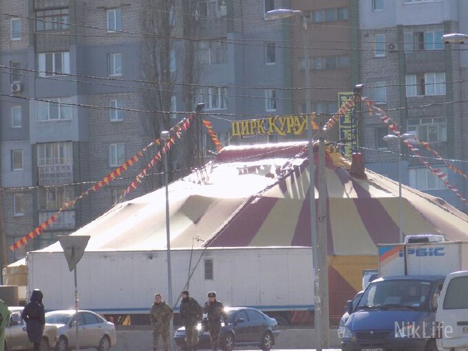 В Николаеве в передвижном цирке издеваются над животными