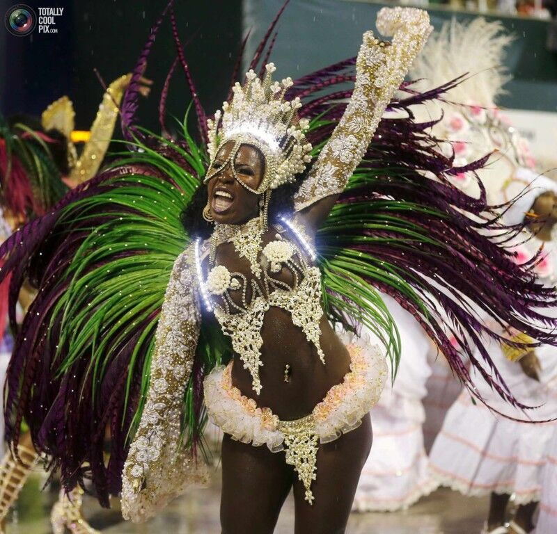 Красочные фото карнавала в Рио-де-Жанейро за 2015 год
