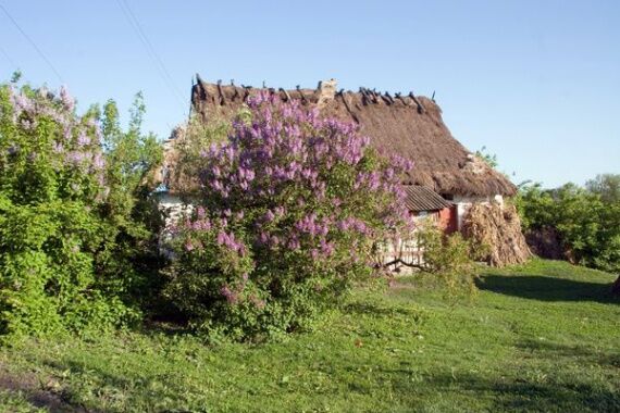 15 живописных украинских домов-мазанок, которые простояли по 100-300 лет