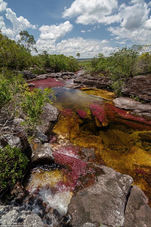 Самая красивая река в мире: ожившая радуга на воде