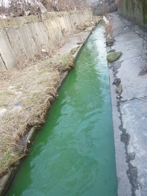 В Киеве позеленела вода в реке Лыбидь: фотофакт