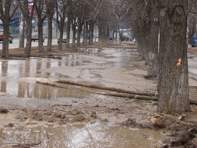 В Киеве из-за прорыва трубы на проспекте образовалось "озеро": опубликованы фото