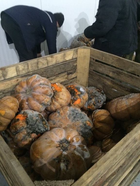 В Мариуполе на складе сгнили более 20 тонн гуманитарных овощей: власть не дала команду на выдачу