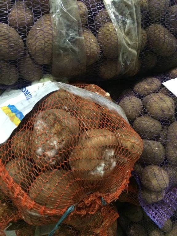 В Мариуполе на складе сгнили более 20 тонн гуманитарных овощей: власть не дала команду на выдачу