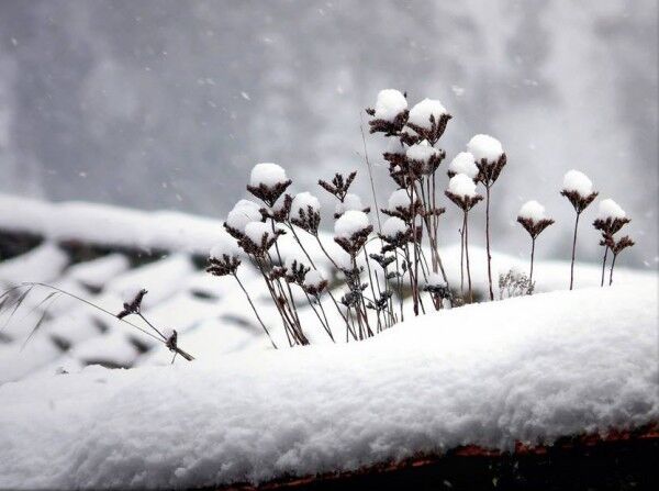 Сонячну Іспанію раптово завалило снігом: дивовижні фото і відео
