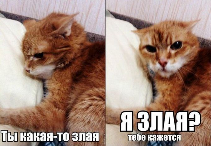 27 веских причин, почему женская логика куда более интересная, чем мужская