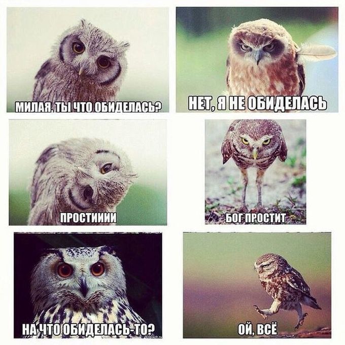 27 веских причин, почему женская логика куда более интересная, чем мужская