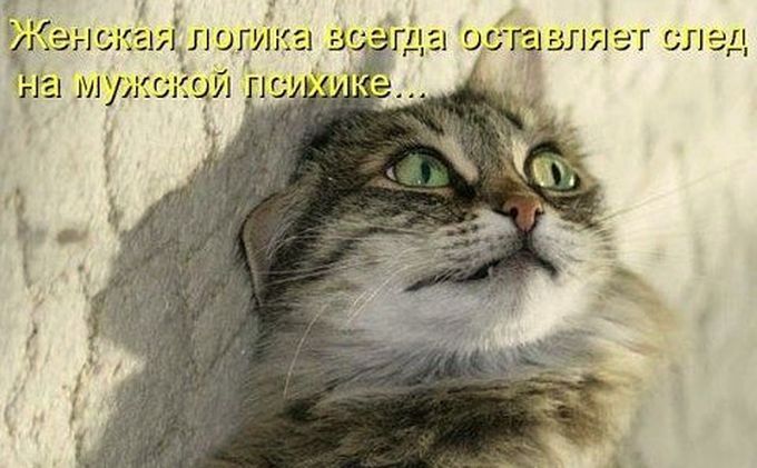 27 веских причин, почему женская логика куда более интересная, чем мужская