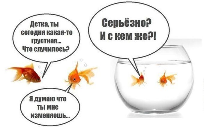 27 веских причин, почему женская логика куда более интересная, чем мужская