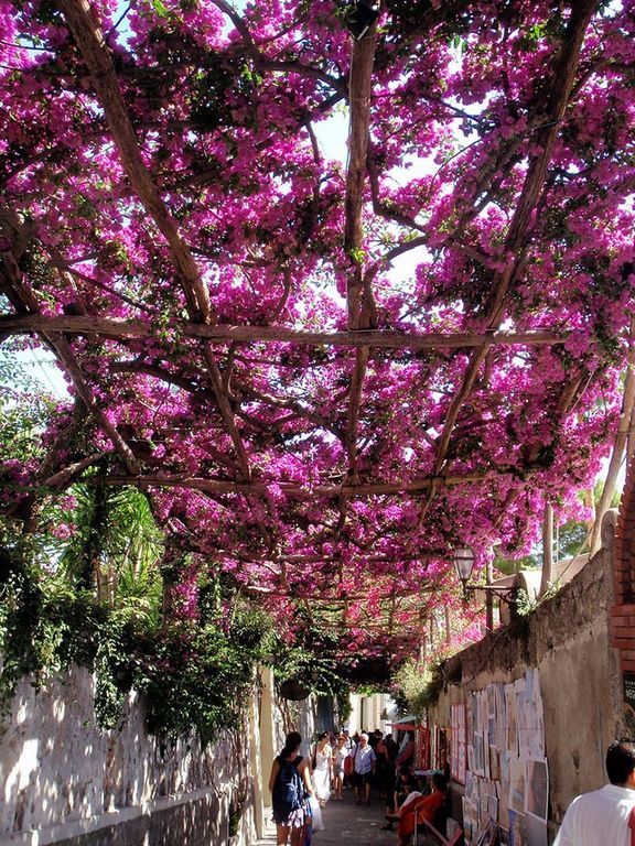 Фото улиц мира, расцветающих с приходом весны