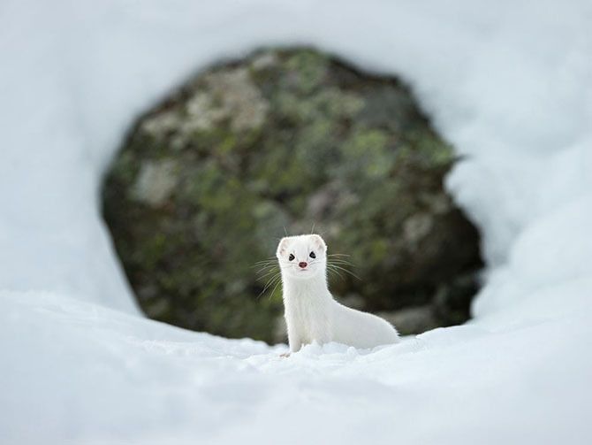 Февраль 2015 глазами National Geographic