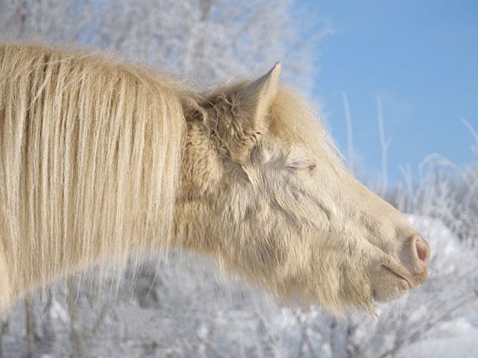 Февраль 2015 глазами National Geographic