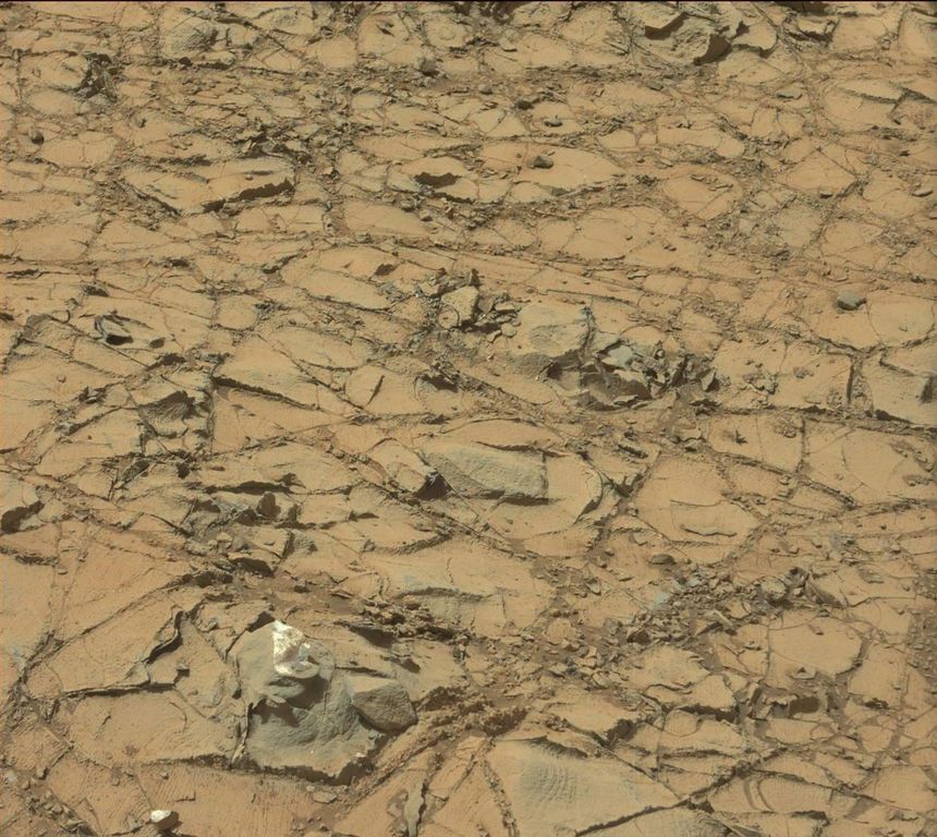 Марсоход на обнаружил на Красной планете "белые грибы"