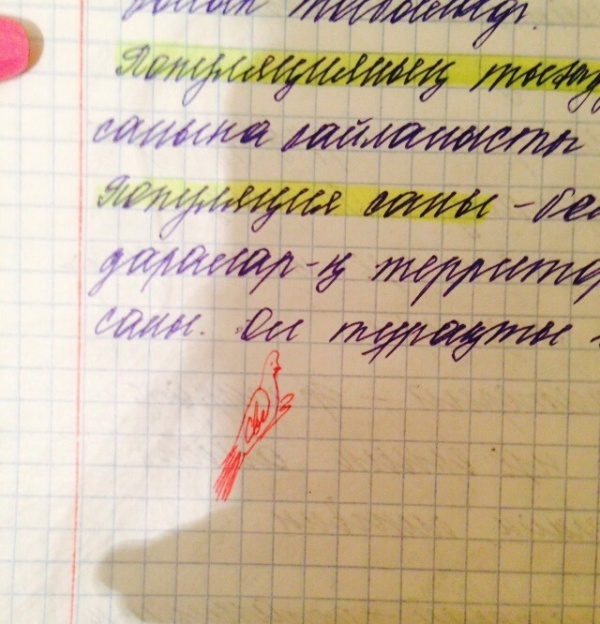 Подпись преподавателя экологии