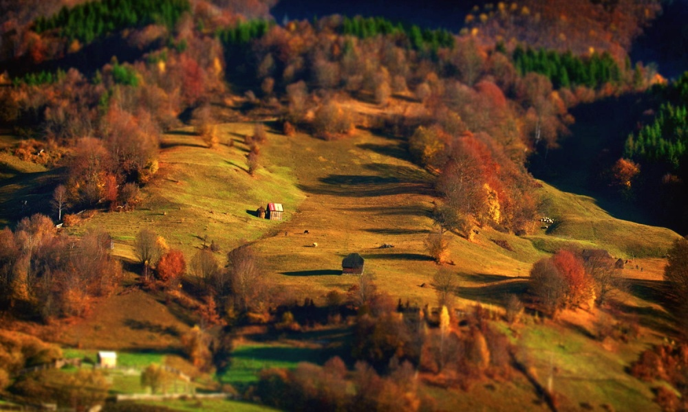 Не оторвать глаз: завораживающее утро румынских гор