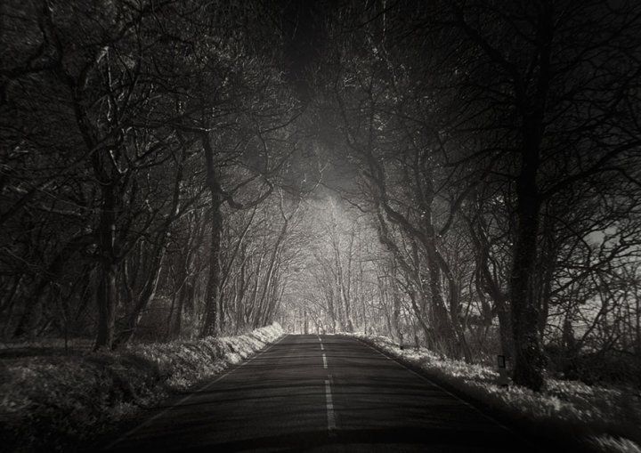 Манящие вдаль: 12 одиноких дорог со всего света